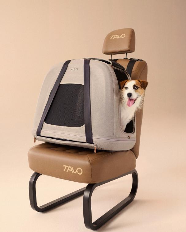 Portable Pet Car Seat Carrier