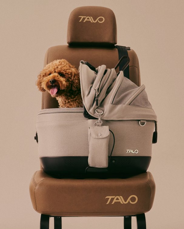 Pet Car Seat