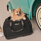 Hendrick Pet Car Seat