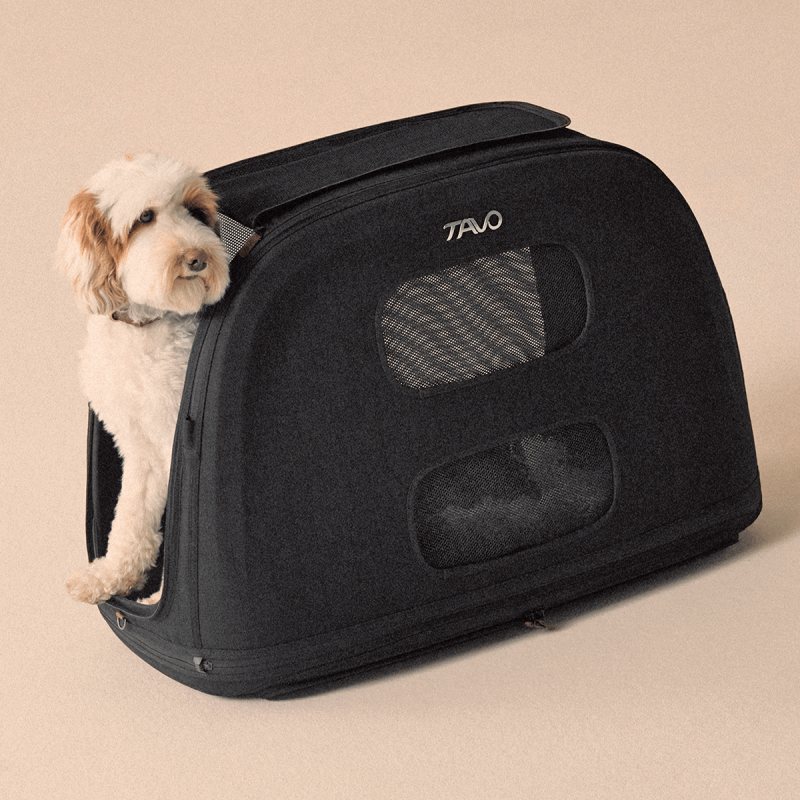Crispin Pet Travel Crate
