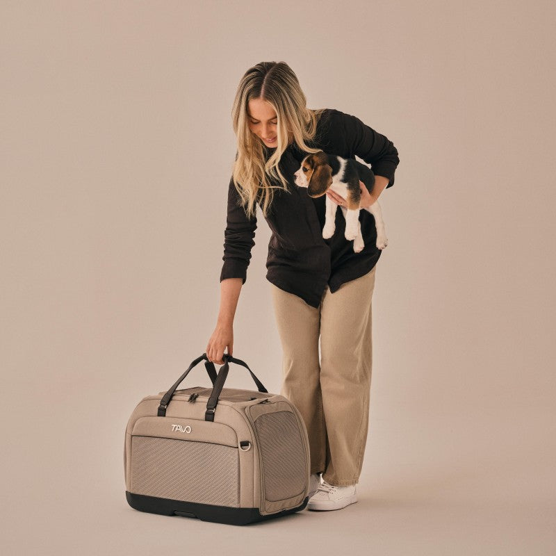 Hendrick Pet Car Seat