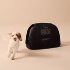 Crispin Pet Travel Crate