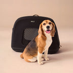 Crispin Pet Travel Crate