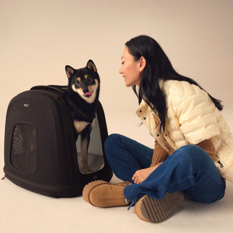Crispin Pet Travel Crate
