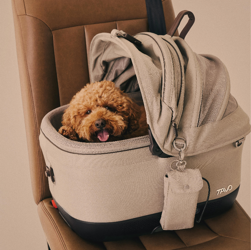 Maeve™ iso Pet Car seat (R129 I-size)