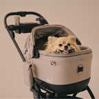 Maeve™ iso Pet Car seat (R129 I-size)
